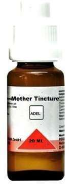 SYZYGIUM JAMBOLANUM MOTHER TINCTURE Q