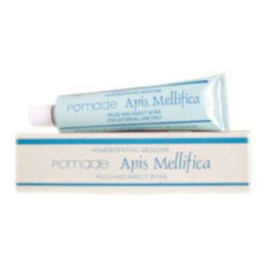 SBL APIS MELLIFICA OINTMENT