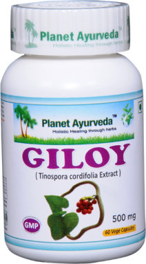 PLANET AYURVEDA GILOY