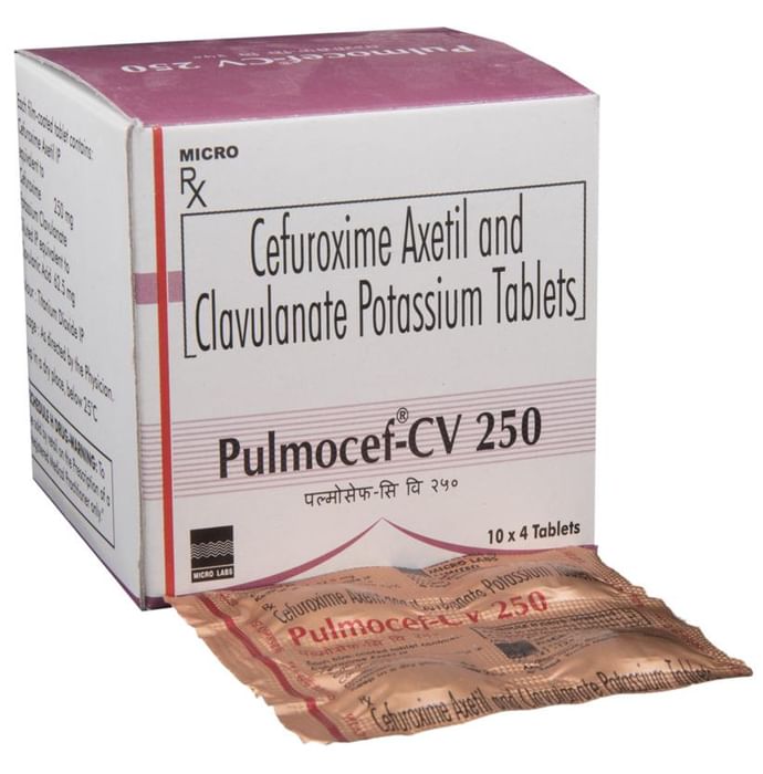 Pulmocef-CV 250 Tablet