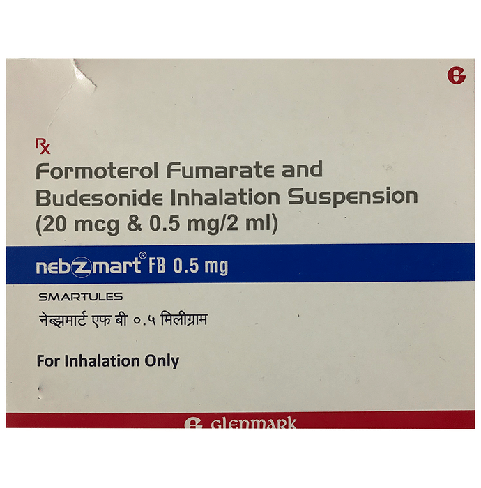 Nebzmart FB 0.5mg Smartules 2ml