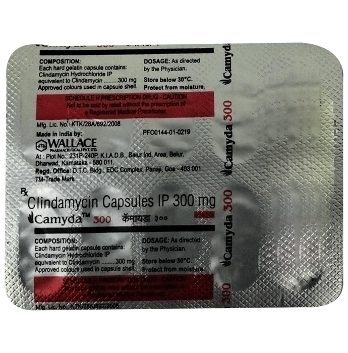 Camyda 300mg Capsule