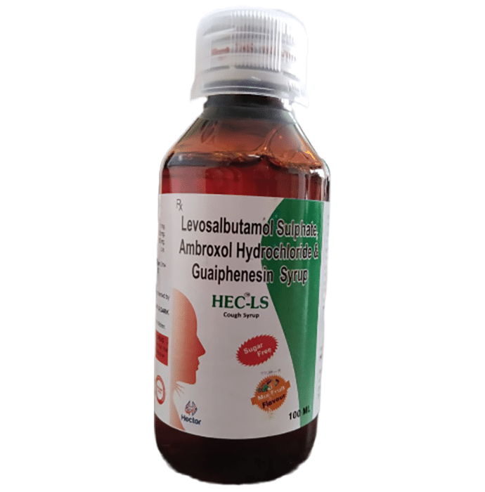 Hec-LS Syrup Mix Fruit Sugar Free