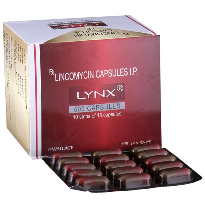Lynx 500 Capsule