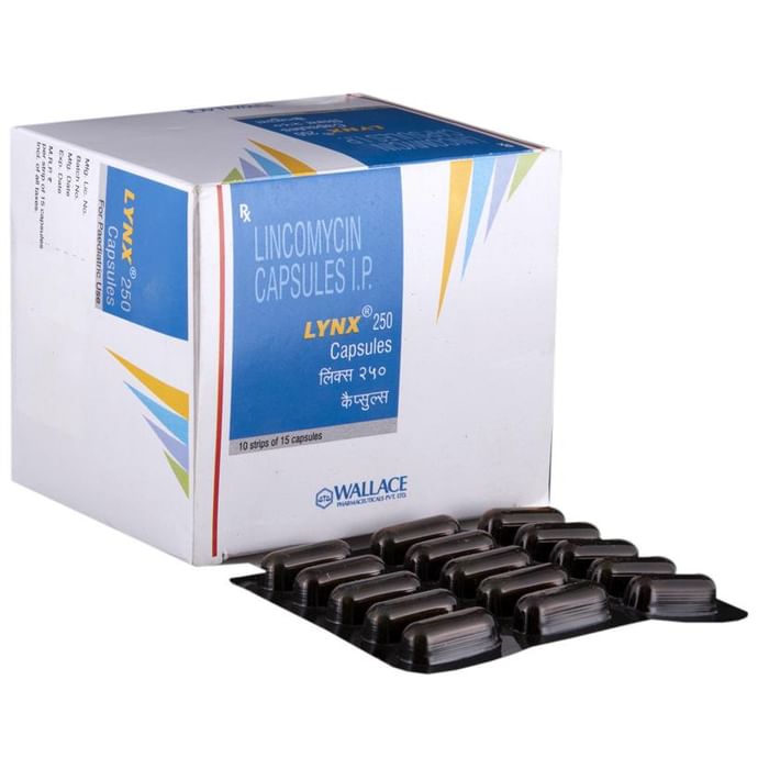 Lynx 250 Capsule