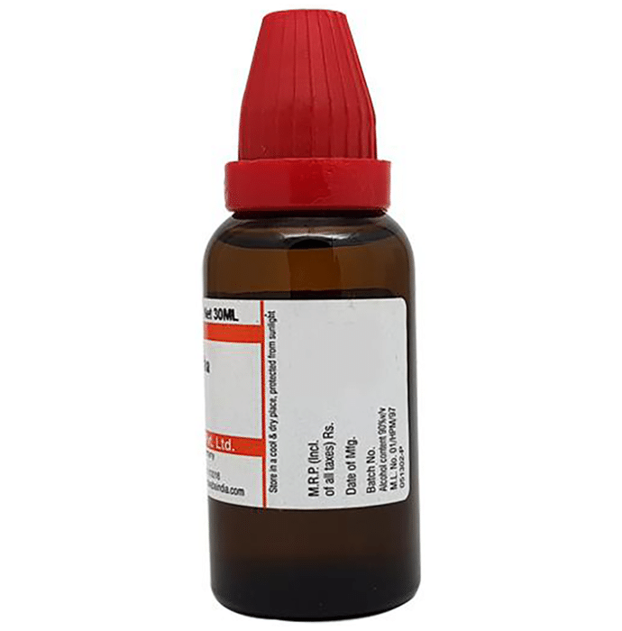 Dr Willmar Schwabe India Chelidonium Majus Mother Tincture Q