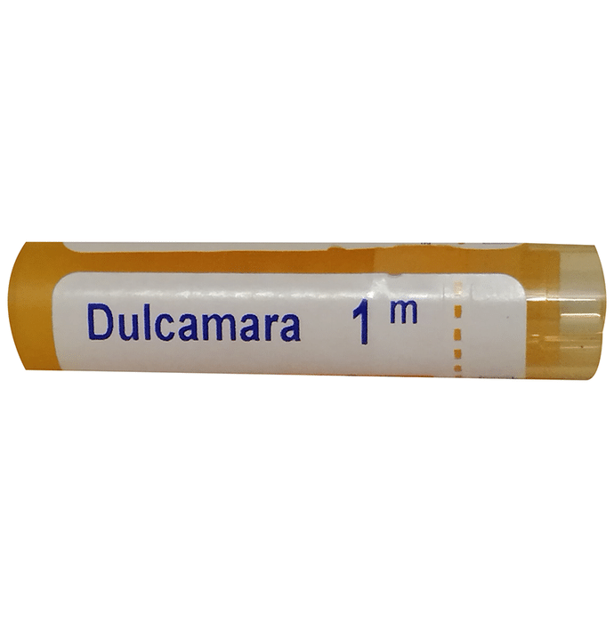Boiron Dulcamara Pellets 1M