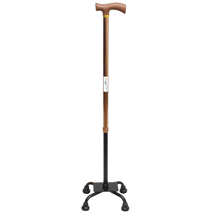 Entros KL934 4 Leg Color Coated Straight Walking Stick
