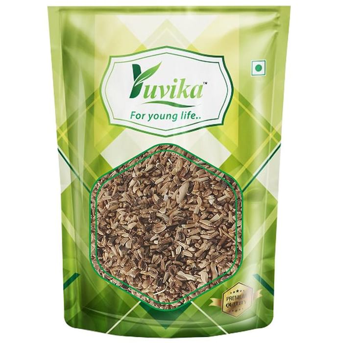 Yuvika Kasni Seeds - Cichorium Intybus - Endive - Chicory