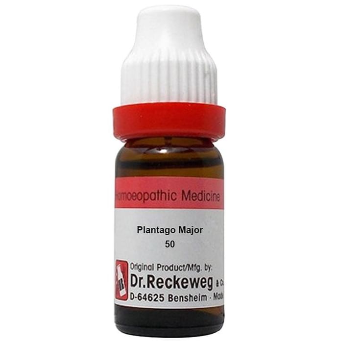 Dr. Reckeweg Plantago Major Dilution 50M CH
