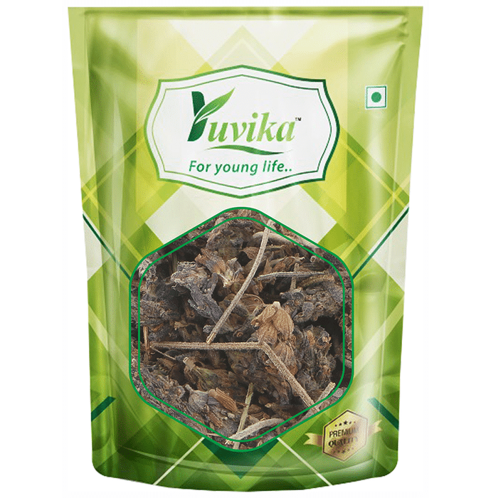 Yuvika Ustekhadoos Asli - Lavandula Stoechas - Arabian Lavende