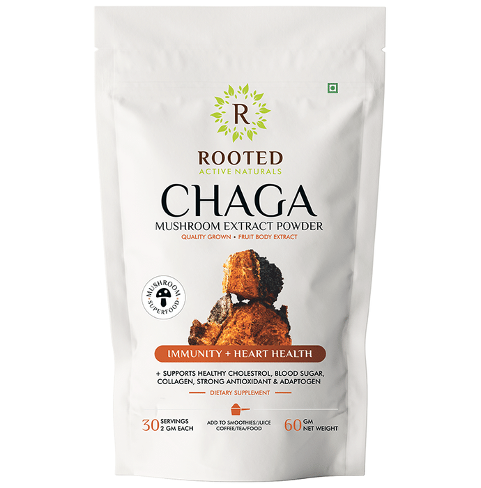 Rooted Active Naturals Chaga Mushroom Extract Powder