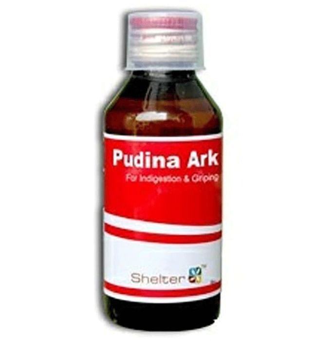 Shelter Pudina Ark