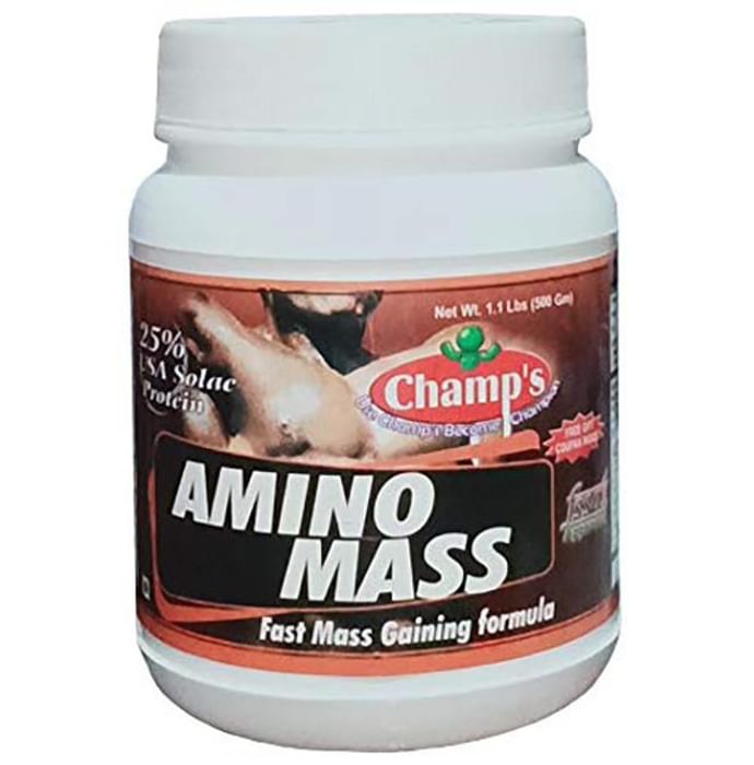 Champ's Amino Mass Chocolate Brownie
