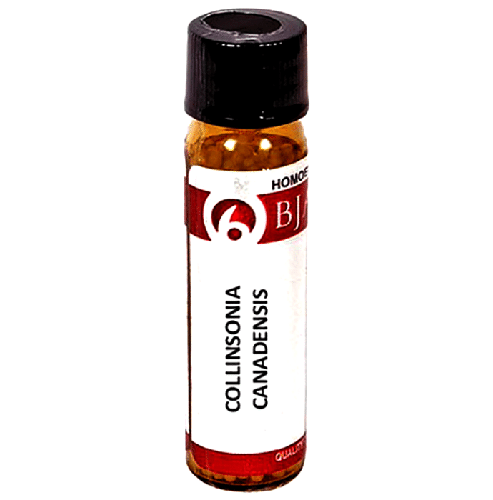 Bjain Collinsonia Canadensis Globules 12 CH