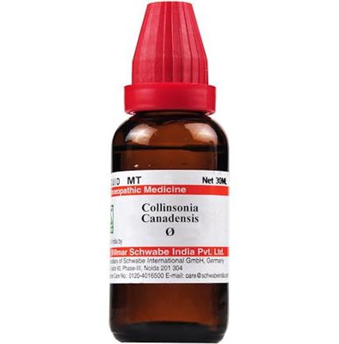 Dr Willmar Schwabe India Collinsonia Canadensis Mother Tincture Q