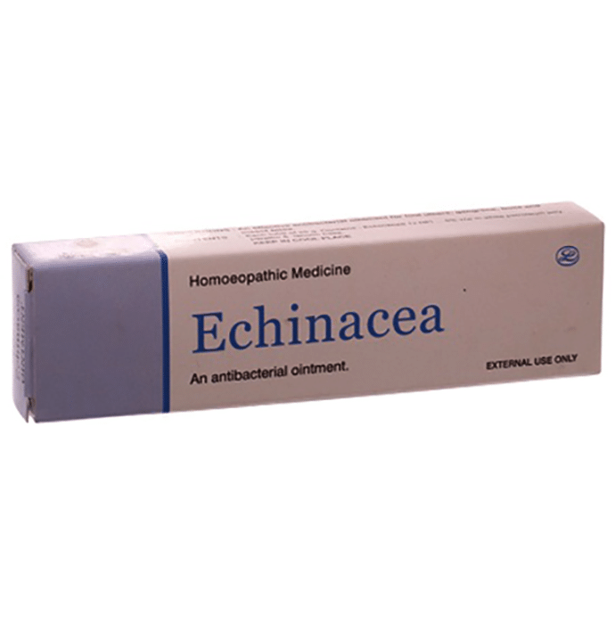Lord's Echinacea Ointment