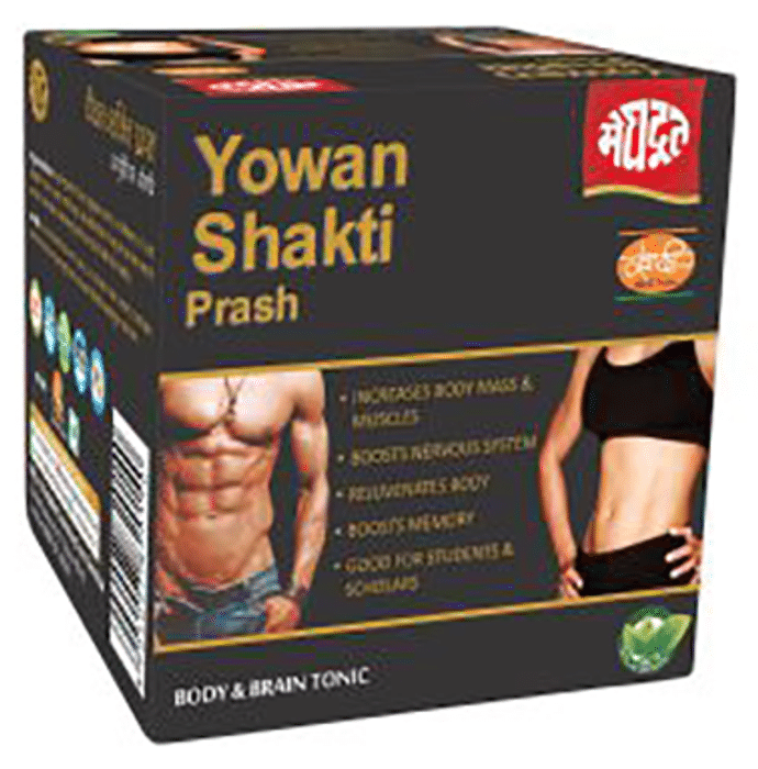 Meghdoot Yowan Shakti Prash