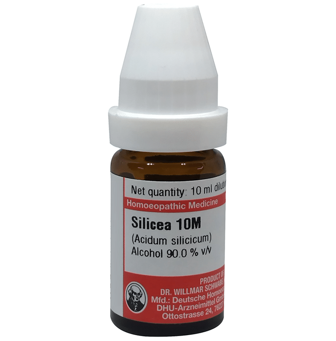 Dr Willmar Schwabe Germany Silicea Dilution 10M
