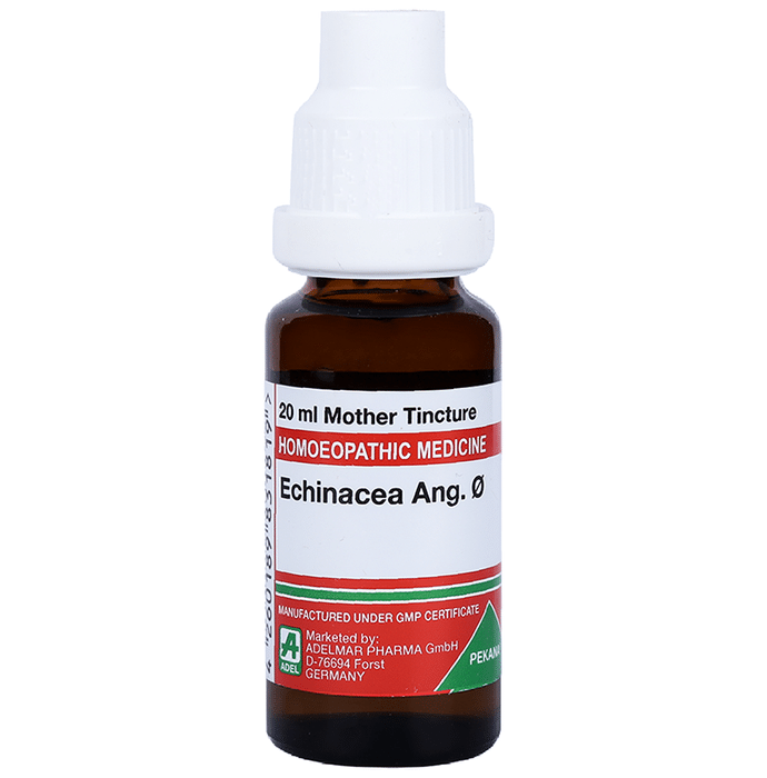 ADEL Echinacea Ang. Mother Tincture Q