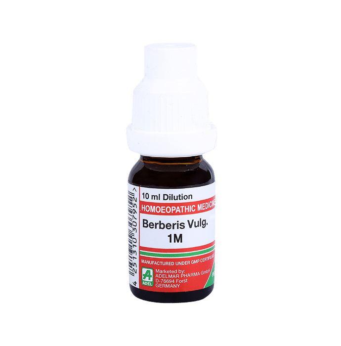 ADEL Berberis Vulg. Dilution 1M