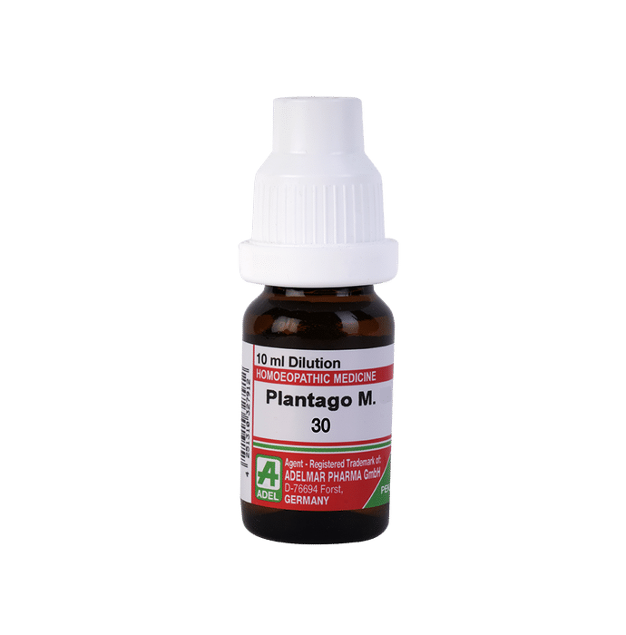 ADEL Plantago M. Dilution 30