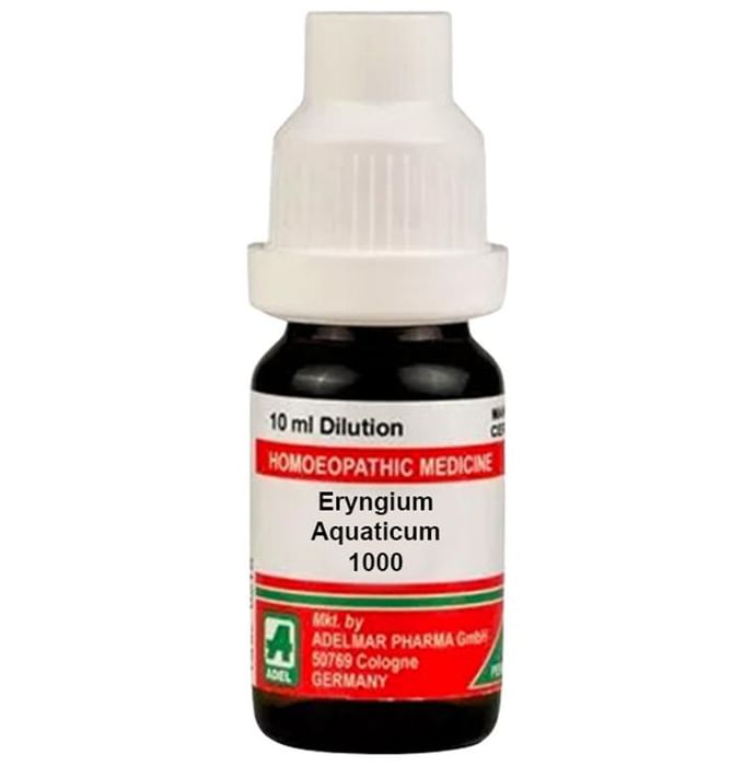 ADEL Eryngium Aquaticum Dilution 1M