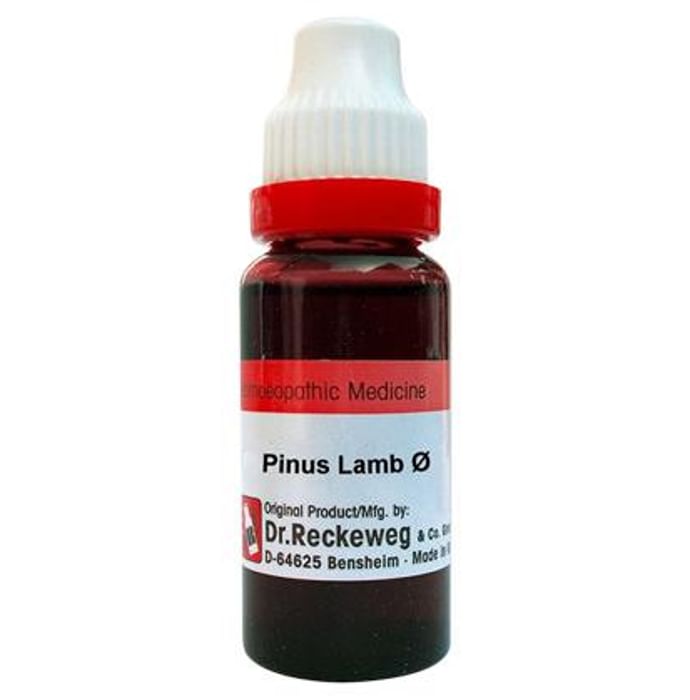 Dr. Reckeweg Pinus Lamb Mother Tincture Q