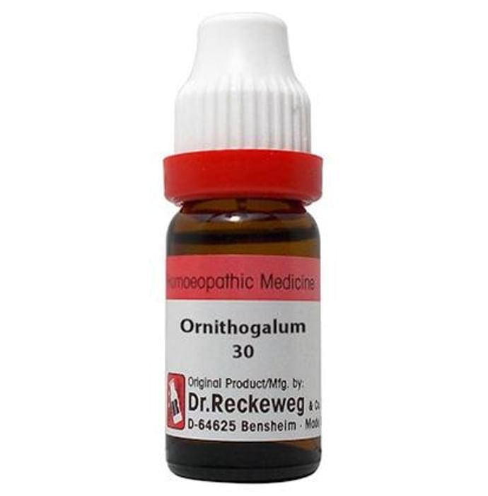 Dr. Reckeweg Ornithogalum U Dilution 30 CH