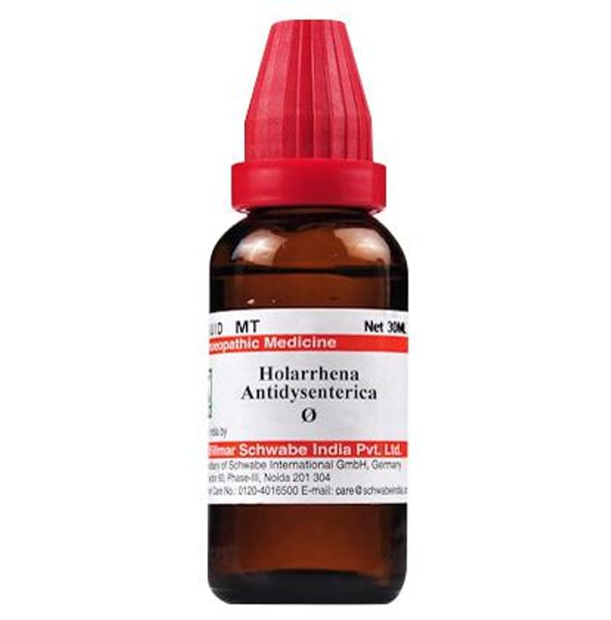 Dr Willmar Schwabe India Holarrhena Antidysenterica Mother Tincture Q