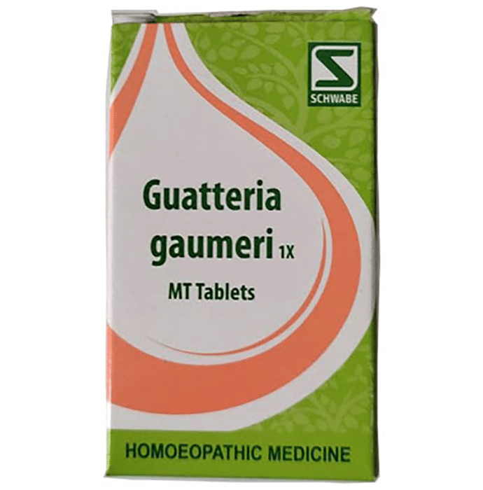Dr Willmar Schwabe India Guatteria Gaumeri MT Tablet 1X
