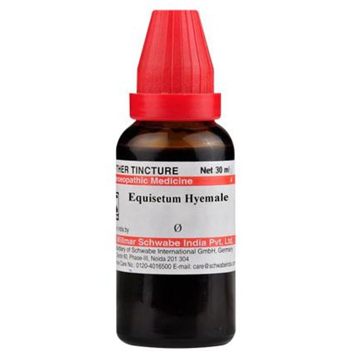 Dr Willmar Schwabe India Equisetum Hyemale Mother Tincture Q