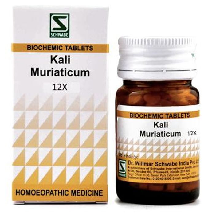 Dr Willmar Schwabe India Kali Muriaticum Biochemic Tablet 12X