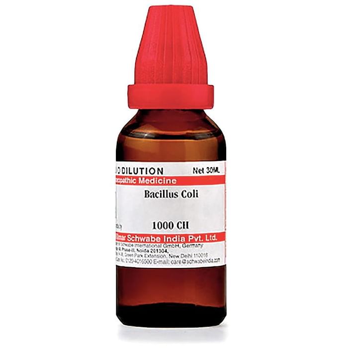 Dr Willmar Schwabe India Bacillus Coli Dilution 1000 CH