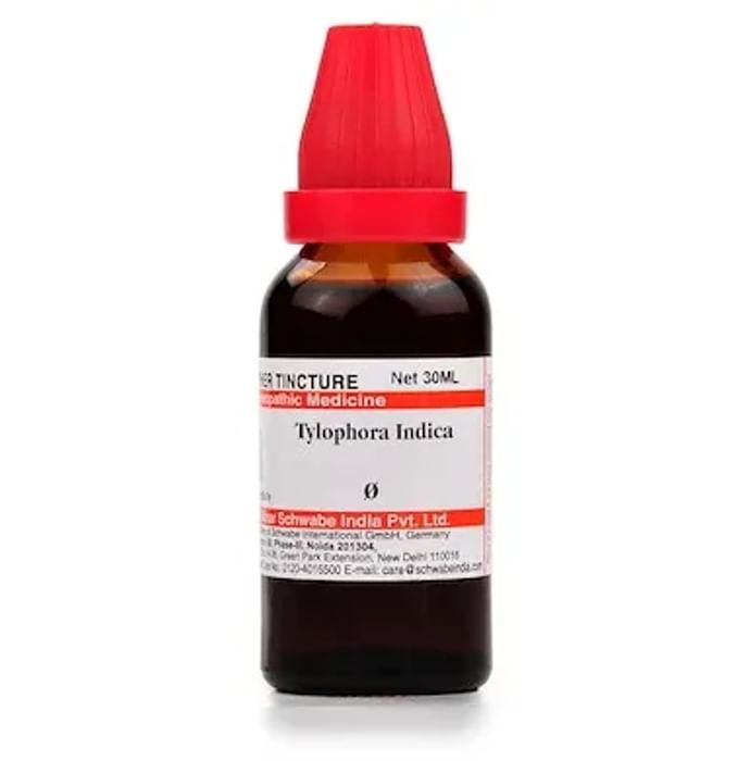 Dr Willmar Schwabe India Tylophora Indica Mother Tincture Q