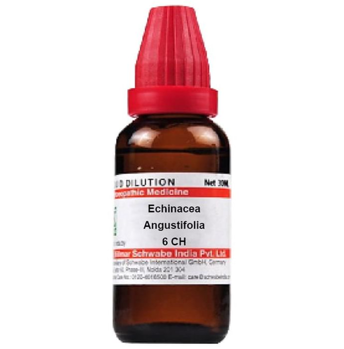 Dr Willmar Schwabe India Echinacea Angustifolia Dilution 6 CH