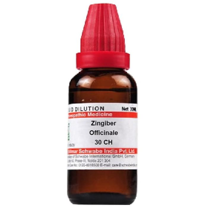 Dr Willmar Schwabe India Zingiber Officinale Dilution 30 CH