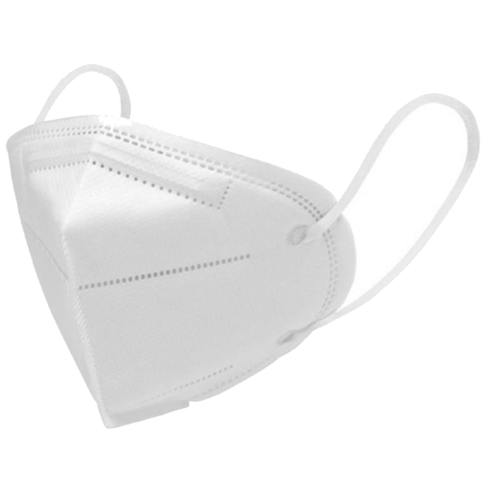 Dominion Care N95 Mask