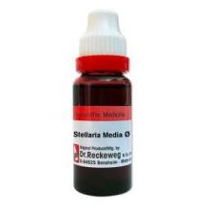 Dr. Reckeweg Stellaria Media Mother Tincture Q