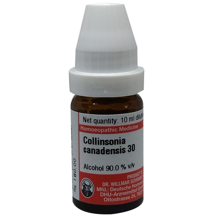 Dr Willmar Schwabe Germany Collinsonia Canadensis Dilution 30