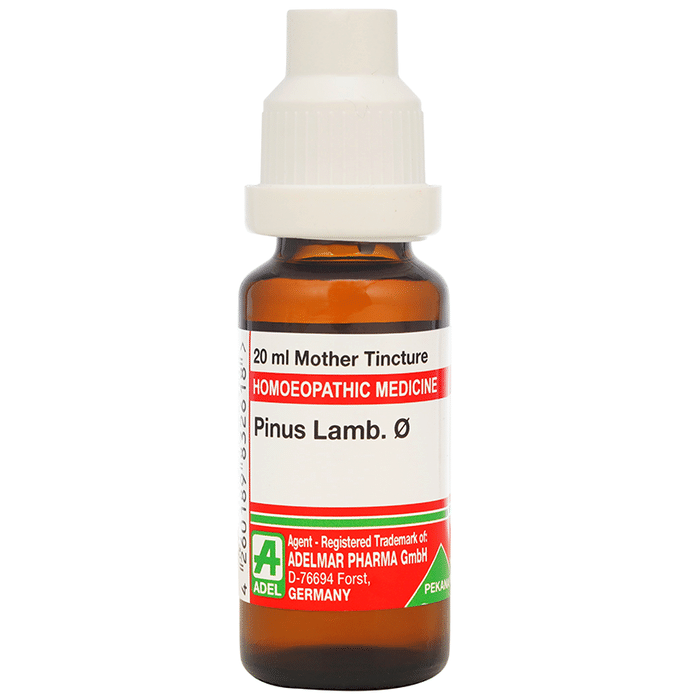 ADEL Pinus Lamb. Mother Tincture Q