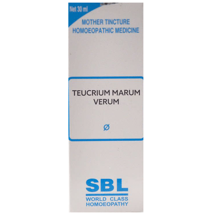 SBL Teucrium Marum Verum Mother Tincture Q