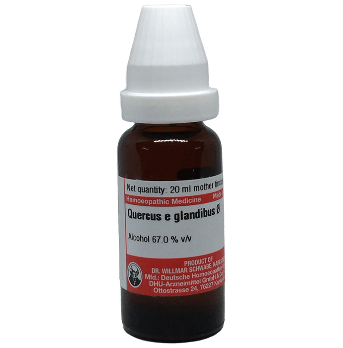 Dr Willmar Schwabe Germany Quercus E Glandibus Mother Tincture Q