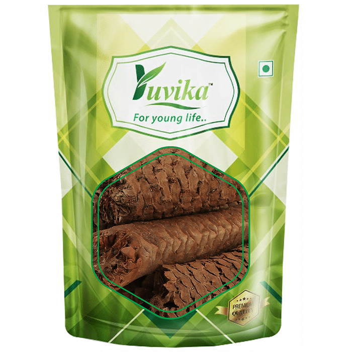 Yuvika Gaj Pipal - Sccindapsus Officinalis