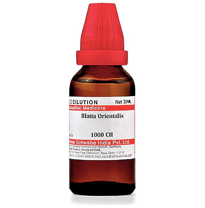 Dr Willmar Schwabe India Blatta Orientalis Dilution 1000 CH