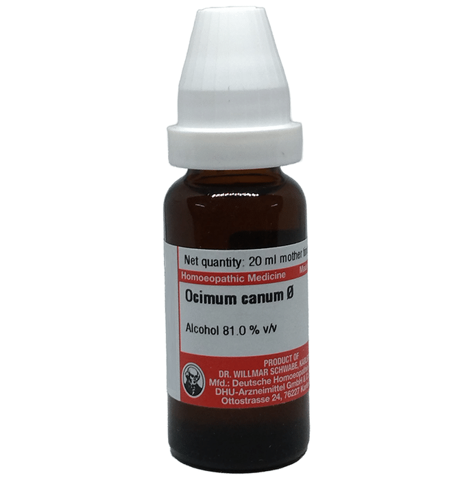 Dr Willmar Schwabe Germany Ocimum Canum Mother Tincture Q