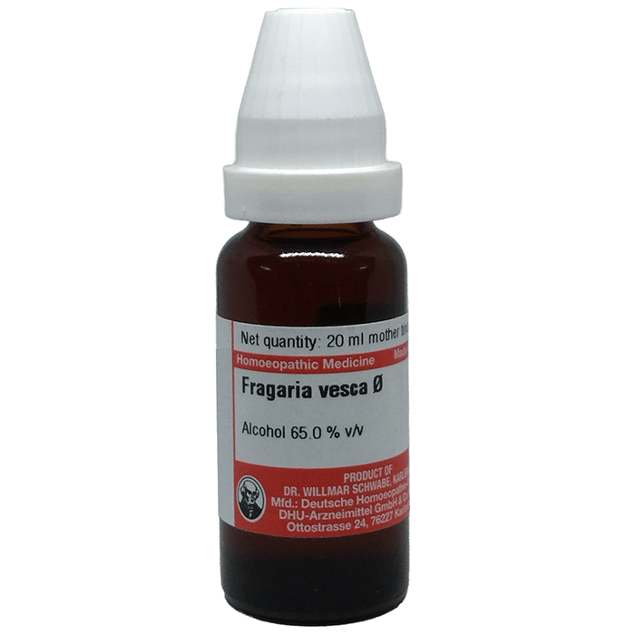 Dr Willmar Schwabe Germany Fragaria Vesea Mother Tincture Q