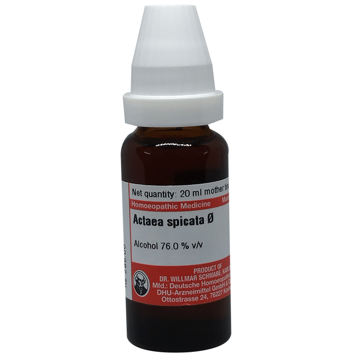 Dr Willmar Schwabe Germany Actaea Spicata Mother Tincture Q