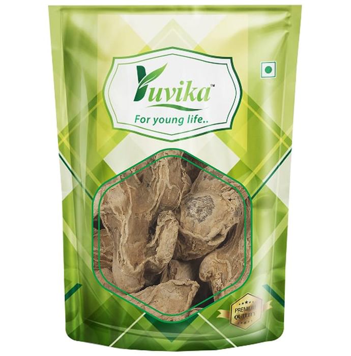 Yuvika Sonth - Zingiber Officinale - Dry Ginger