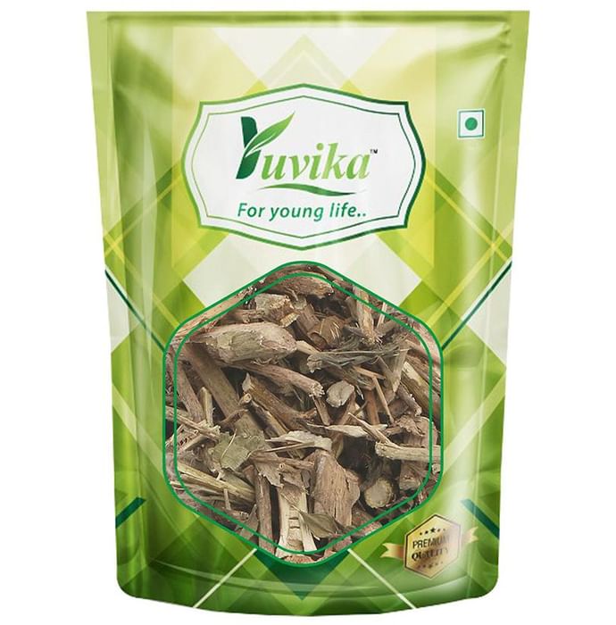 Yuvika Bansa Kala - Adhatoda Vasica Nees - Malabar Nut Tree